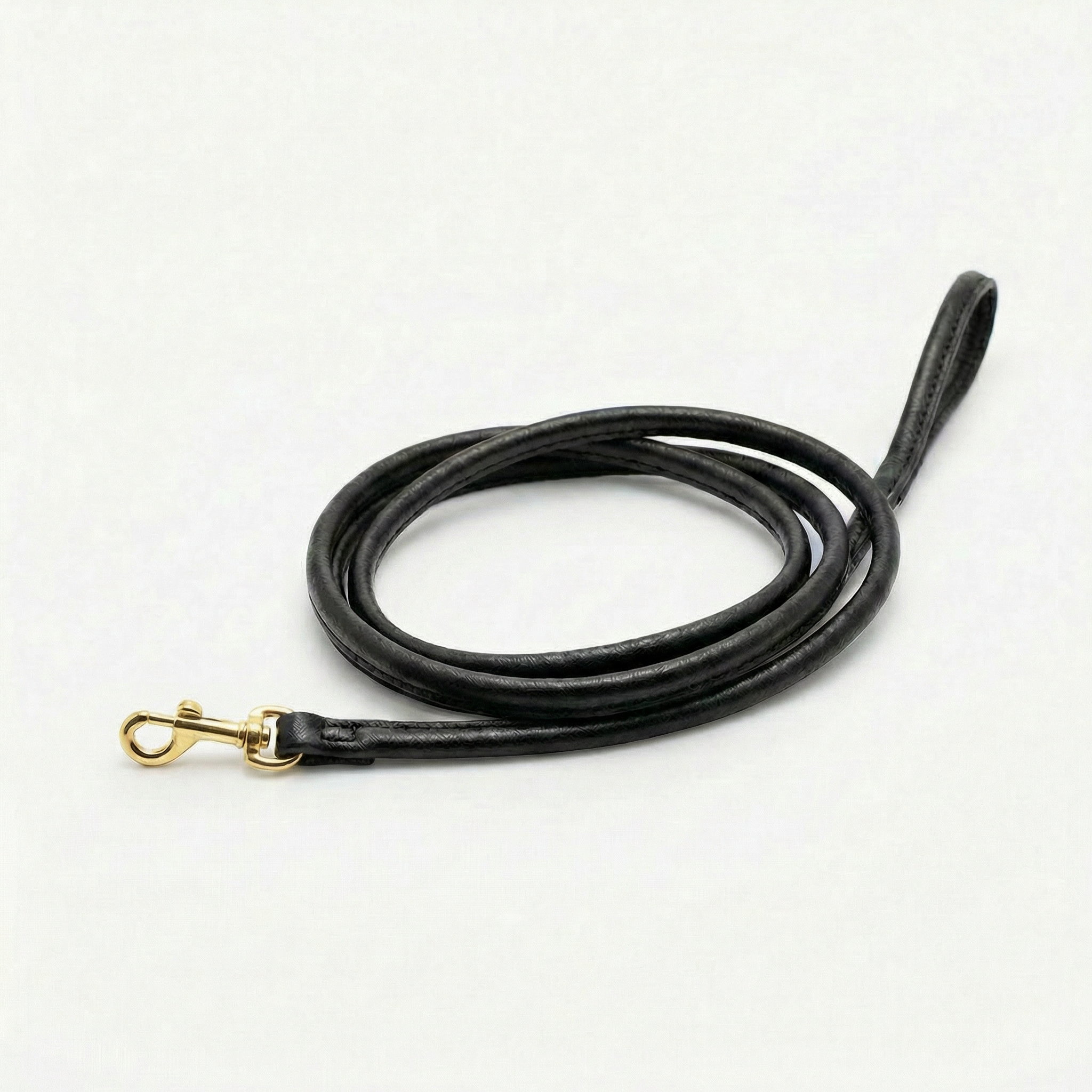 black-dog-lead-small-gold.png