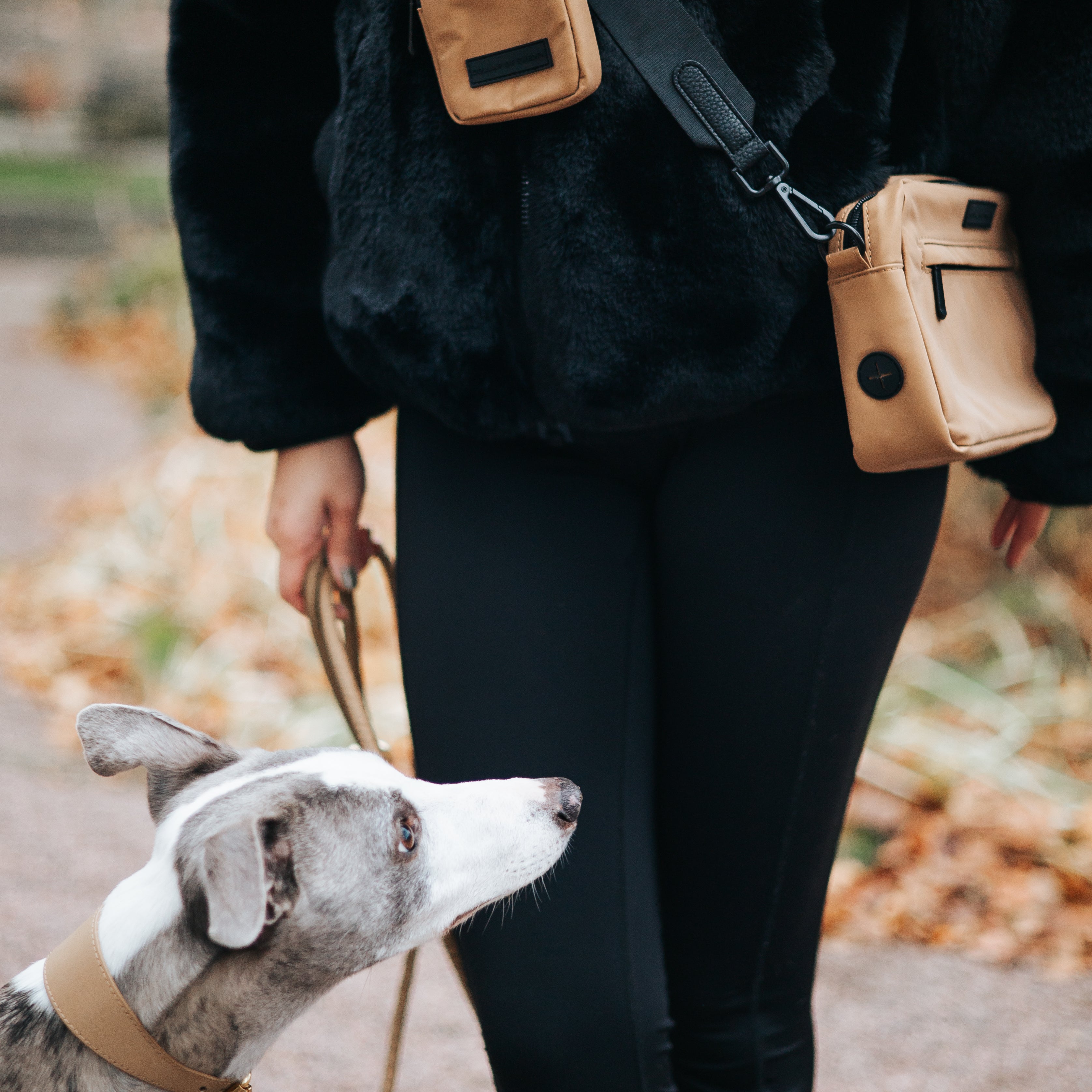 bronze-reflective-bag-enviroment.jpg