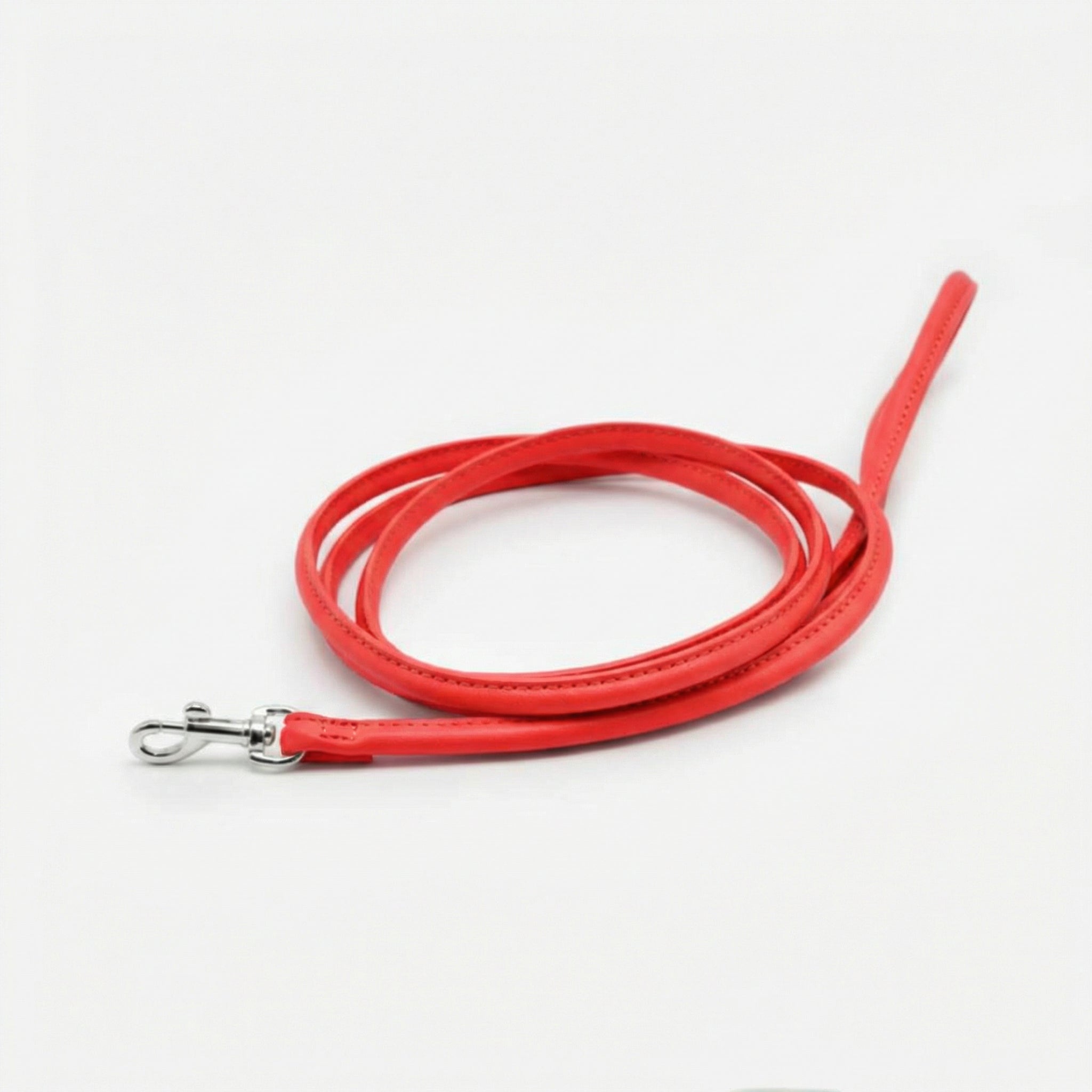 pure-red-dog-lead-small-silver.jpg