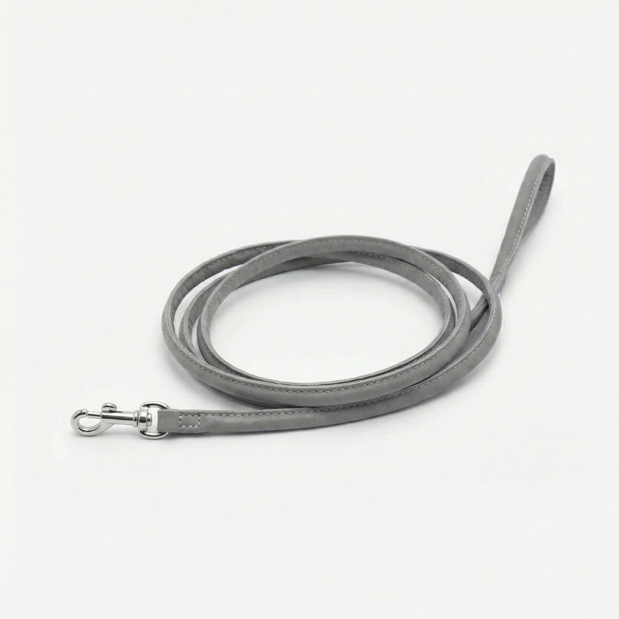 reflective-silver-dog-lead-small-silver.jpg