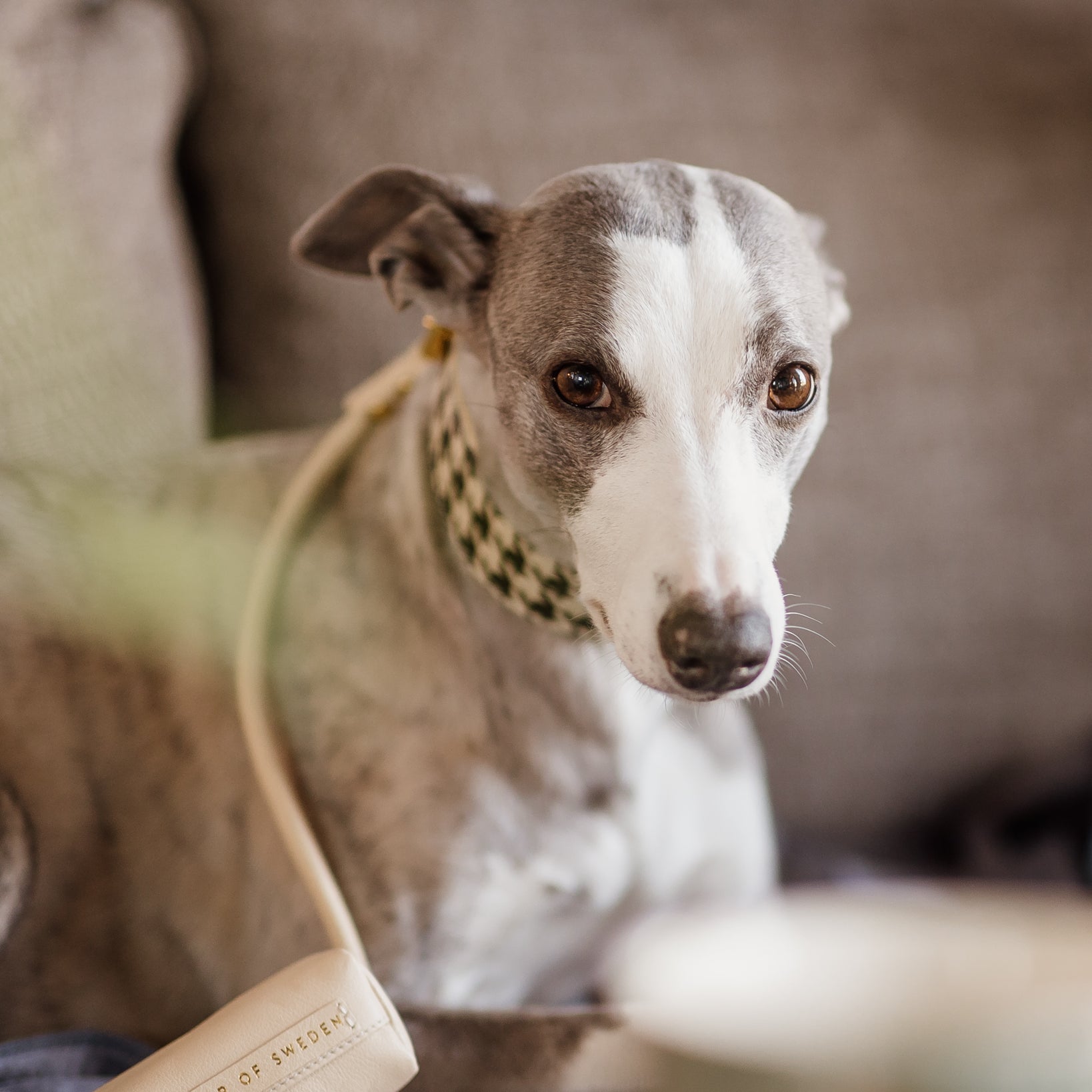 whippet-beige-poop-bag-holder.jpg